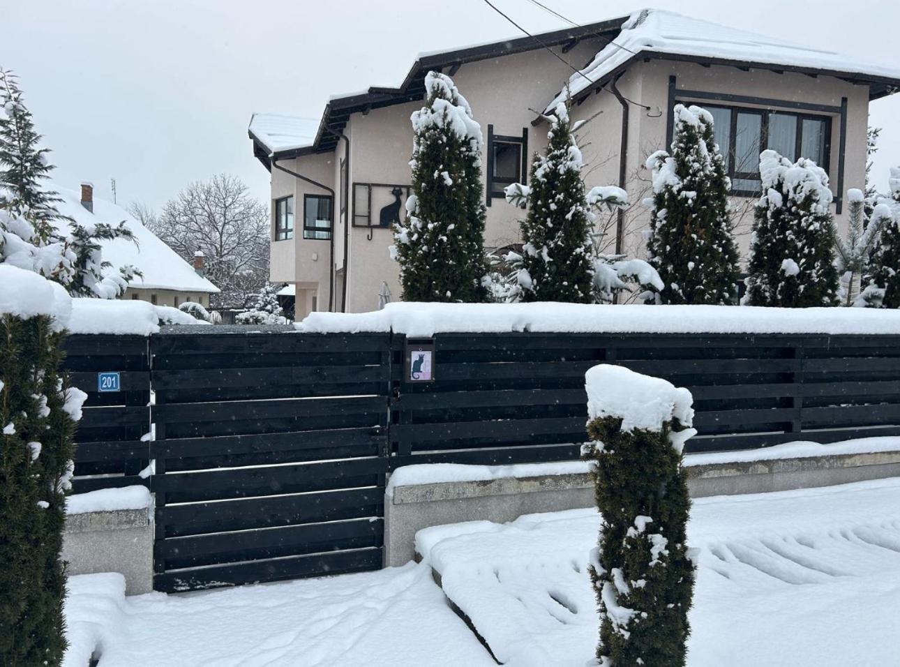 Casa Pisica Noastra Otel Breaza  Dış mekan fotoğraf