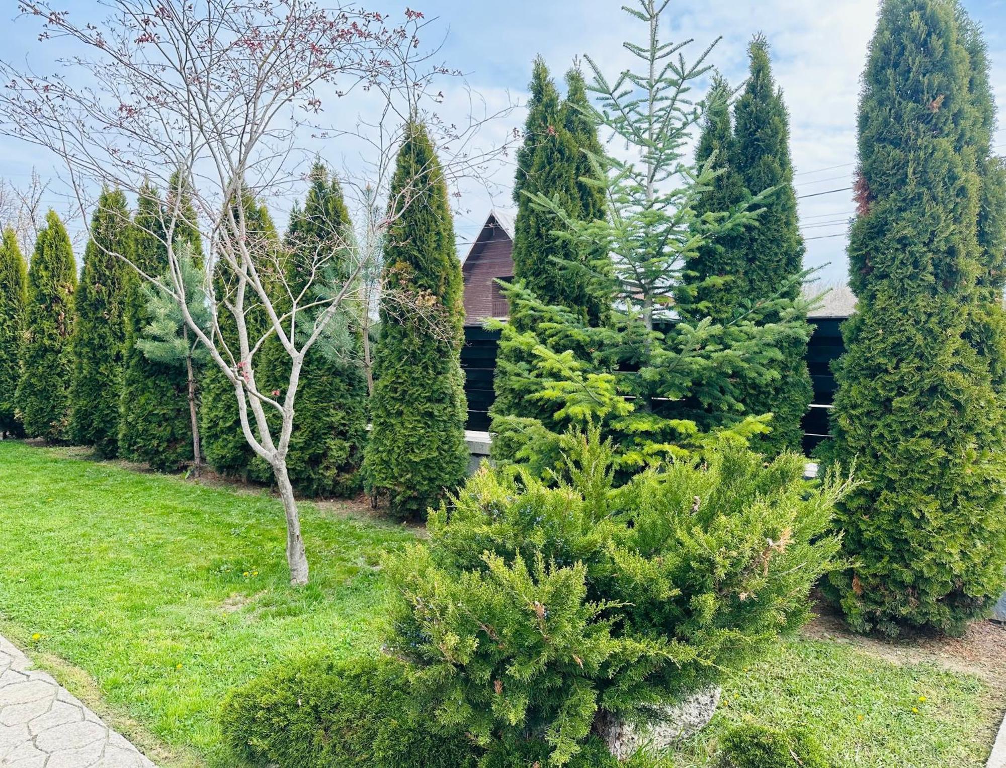 Casa Pisica Noastra Otel Breaza  Dış mekan fotoğraf